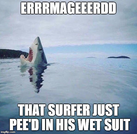 shark_head_out_of_water | ERRRMAGEEERDD; THAT SURFER JUST PEE'D IN HIS WET SUIT | image tagged in shark_head_out_of_water | made w/ Imgflip meme maker