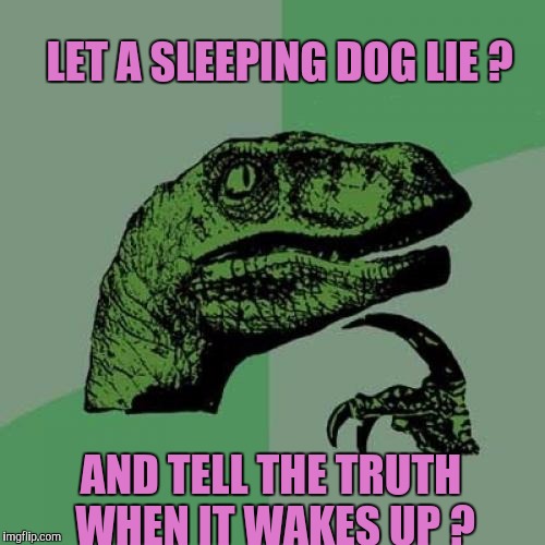 Dogs! What To Do ??? | LET A SLEEPING DOG LIE ? AND TELL THE TRUTH WHEN IT WAKES UP ? | image tagged in memes,philosoraptor | made w/ Imgflip meme maker