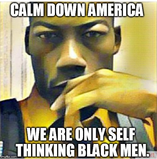 CALM DOWN AMERICA; WE ARE ONLY SELF THINKING BLACK MEN. | image tagged in 2dayz black men | made w/ Imgflip meme maker