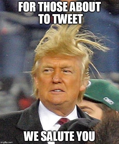 Donald Trumph hair | FOR THOSE ABOUT TO TWEET; WE SALUTE YOU | image tagged in donald trumph hair | made w/ Imgflip meme maker