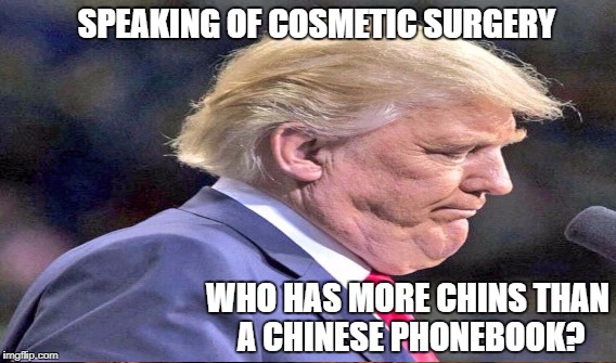 Glass House Stone Thrower | SPEAKING OF COSMETIC SURGERY; WHO HAS MORE CHINS THAN A CHINESE PHONEBOOK? | image tagged in mika,tweeter | made w/ Imgflip meme maker