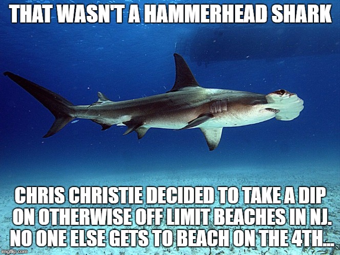 Man wrestled whale? | THAT WASN'T A HAMMERHEAD SHARK; CHRIS CHRISTIE DECIDED TO TAKE A DIP ON OTHERWISE OFF LIMIT BEACHES IN NJ. NO ONE ELSE GETS TO BEACH ON THE 4TH... | image tagged in chris christie | made w/ Imgflip meme maker