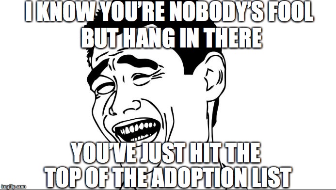 I KNOW YOU’RE NOBODY’S FOOL; BUT HANG IN THERE; YOU’VE JUST HIT THE TOP OF THE ADOPTION LIST | image tagged in sarcastic man | made w/ Imgflip meme maker