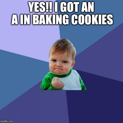 Success Kid | YES!! I GOT AN A IN BAKING COOKIES | image tagged in memes,success kid | made w/ Imgflip meme maker