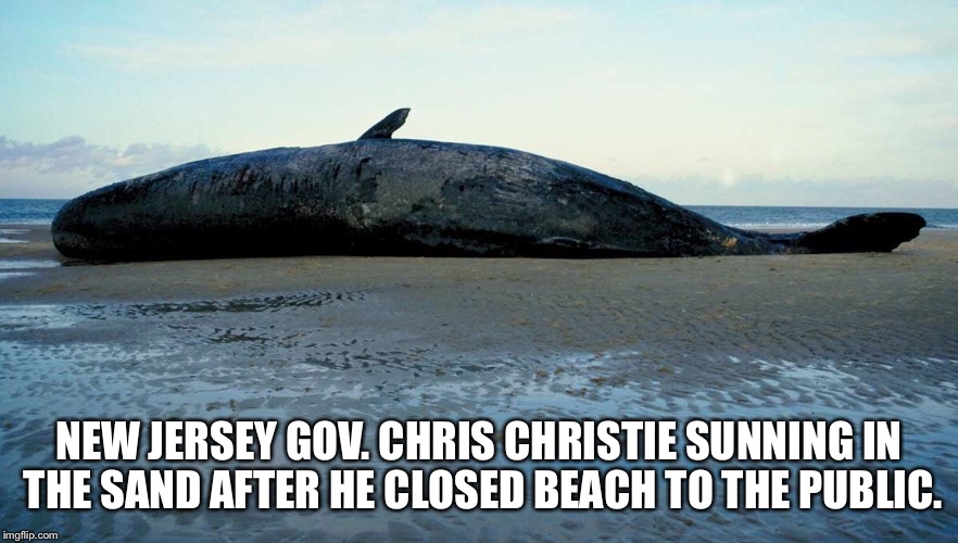 Chris Christie Sunbathing  | NEW JERSEY GOV. CHRIS CHRISTIE SUNNING IN THE SAND AFTER HE CLOSED BEACH TO THE PUBLIC. | image tagged in chris christie,sunbathing,beached whale | made w/ Imgflip meme maker