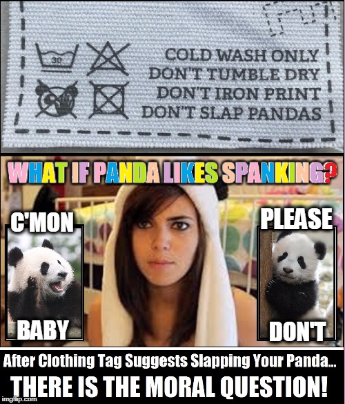 Advice from a Clothing Take | PLEASE; C'MON; BABY; DON'T | image tagged in vince vance,pandas,don't slap pandas,what if panda likes spanking,to spank or not spank your panda,to spank or not to spank | made w/ Imgflip meme maker