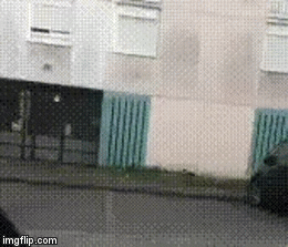 Diversity | image tagged in gifs | made w/ Imgflip video-to-gif maker