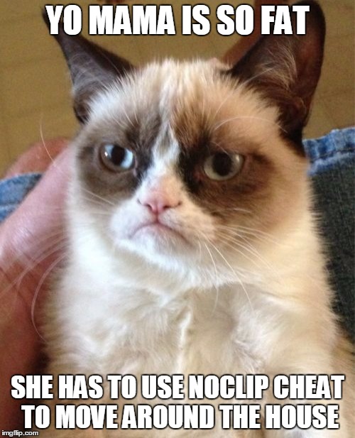 Half-life with Grumpy | YO MAMA IS SO FAT; SHE HAS TO USE NOCLIP CHEAT TO MOVE AROUND THE HOUSE | image tagged in memes,grumpy cat,noclip,half life,valve | made w/ Imgflip meme maker