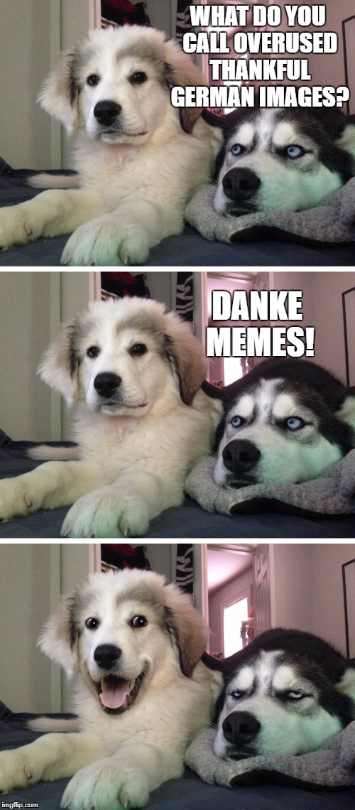 Danke = "thank you" in German. | WHAT DO YOU CALL OVERUSED THANKFUL GERMAN IMAGES? DANKE MEMES! | image tagged in memes,bad pun dogs,funny,german,dank memes,danke | made w/ Imgflip meme maker