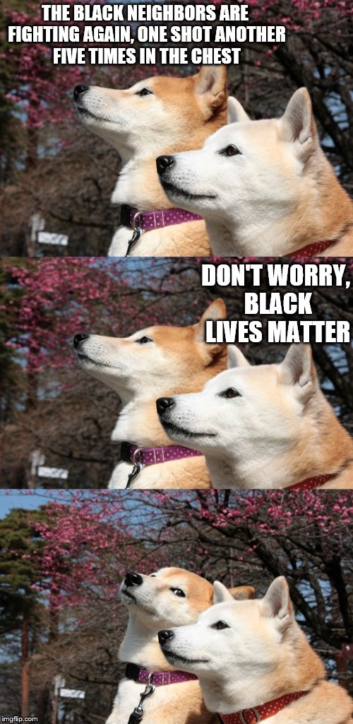 action expresses priorities - Ghandi | THE BLACK NEIGHBORS ARE FIGHTING AGAIN, ONE SHOT ANOTHER FIVE TIMES IN THE CHEST; DON'T WORRY, BLACK LIVES MATTER | image tagged in bad pun dogs,memes,blm | made w/ Imgflip meme maker