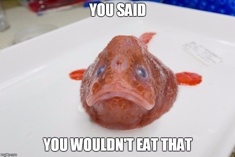 YOU SAID YOU WOULDN'T EAT THAT
 | YOU SAID; YOU WOULDN'T EAT THAT | image tagged in eating,fish,grumpy | made w/ Imgflip meme maker