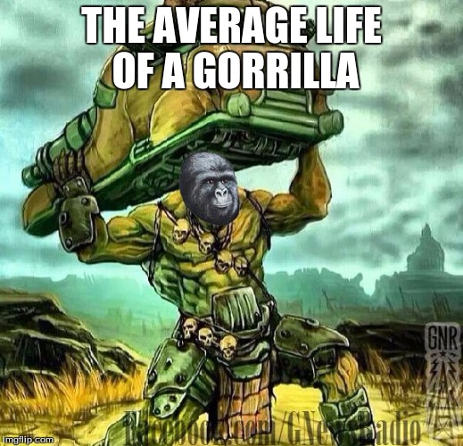 super mutant jimmies | THE AVERAGE LIFE OF A GORRILLA | image tagged in super mutant jimmies | made w/ Imgflip meme maker