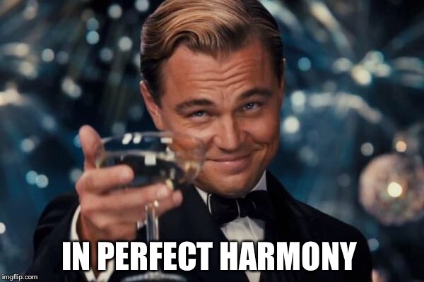 Leonardo Dicaprio Cheers Meme | IN PERFECT HARMONY | image tagged in memes,leonardo dicaprio cheers | made w/ Imgflip meme maker