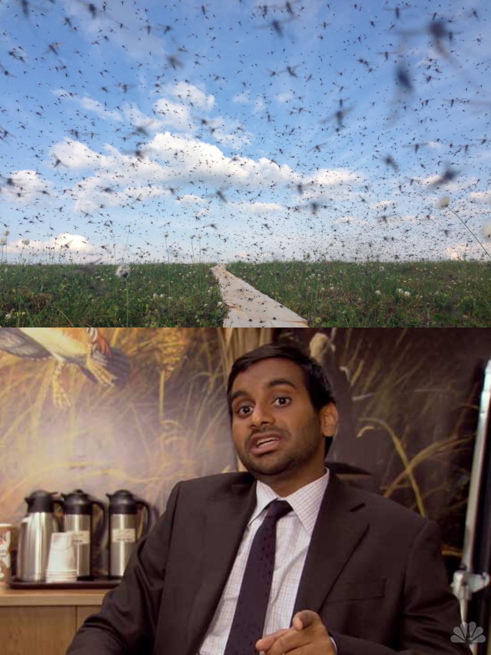 Tom Parks Mosquito Blank Meme Template