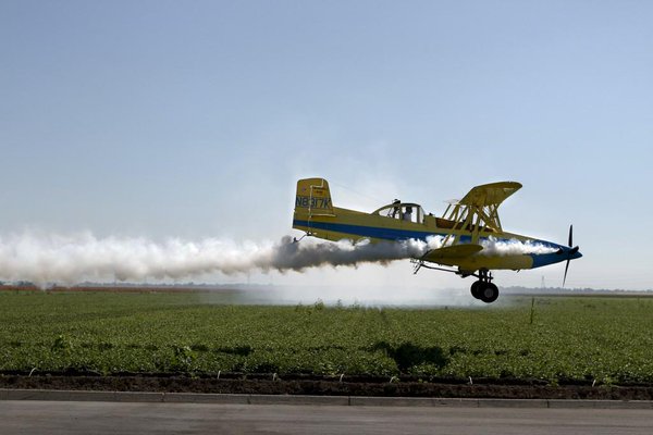 Cropdusting Blank Meme Template