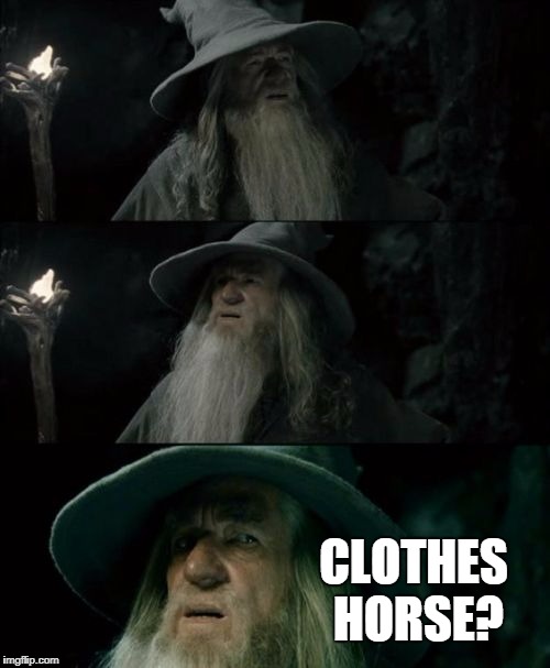 Confused Gandalf Meme | CLOTHES HORSE? | image tagged in memes,confused gandalf | made w/ Imgflip meme maker