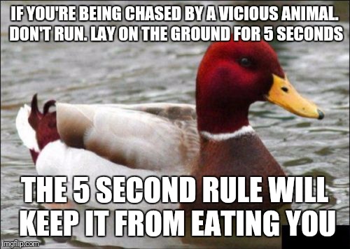Malicious Advice Mallard | IF YOU'RE BEING CHASED BY A VICIOUS ANIMAL. DON'T RUN. LAY ON THE GROUND FOR 5 SECONDS; THE 5 SECOND RULE WILL KEEP IT FROM EATING YOU | image tagged in memes,malicious advice mallard | made w/ Imgflip meme maker
