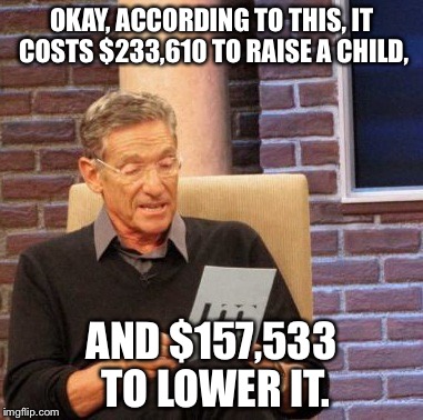 Maury Lie Detector Meme | OKAY, ACCORDING TO THIS, IT COSTS $233,610 TO RAISE A CHILD, AND $157,533 TO LOWER IT. | image tagged in memes,maury lie detector | made w/ Imgflip meme maker