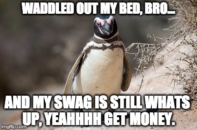 Waddle Out my Bed | WADDLED OUT MY BED, BRO... AND MY SWAG IS STILL WHATS UP, YEAHHHH GET MONEY. | image tagged in magellanic penguins bowtie,penguins,funny meme,funny,bowtie | made w/ Imgflip meme maker
