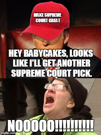 Tormentor in Chief | MAKE SUPREME COURT GREAT; HEY BABYCAKES, LOOKS LIKE I'LL GET ANOTHER SUPREME COURT PICK. NOOOOO!!!!!!!!!! | image tagged in trump hat no | made w/ Imgflip meme maker