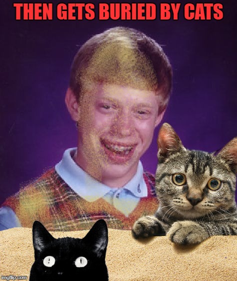 THEN GETS BURIED BY CATS | made w/ Imgflip meme maker