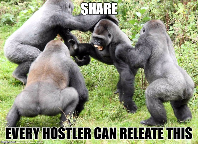 682ND ALPHA ENGINEERS: GORILLA WARFARE | SHARE; EVERY HOSTLER CAN RELEATE THIS | image tagged in 682nd alpha engineers gorilla warfare | made w/ Imgflip meme maker