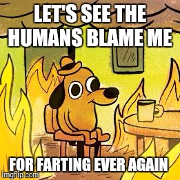 Dog in burning house | LET'S SEE THE HUMANS BLAME ME; FOR FARTING EVER AGAIN | image tagged in dog in burning house | made w/ Imgflip meme maker
