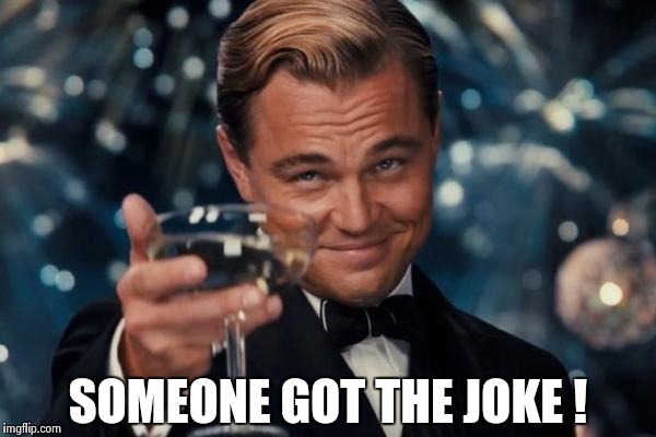 Leonardo Dicaprio Cheers Meme | SOMEONE GOT THE JOKE ! | image tagged in memes,leonardo dicaprio cheers | made w/ Imgflip meme maker