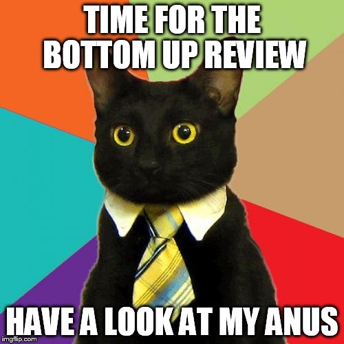 Business Cat | TIME FOR THE BOTTOM UP REVIEW; HAVE A LOOK AT MY ANUS | image tagged in memes,business cat | made w/ Imgflip meme maker