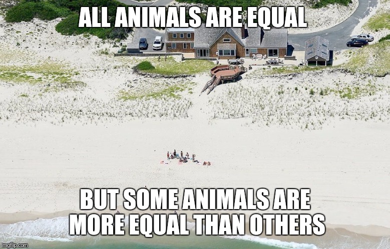  ALL ANIMALS ARE EQUAL; BUT SOME ANIMALS ARE MORE EQUAL THAN OTHERS | image tagged in christie | made w/ Imgflip meme maker