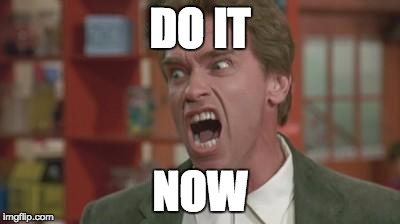 Angry Arnold | DO IT; NOW | image tagged in angry arnold | made w/ Imgflip meme maker