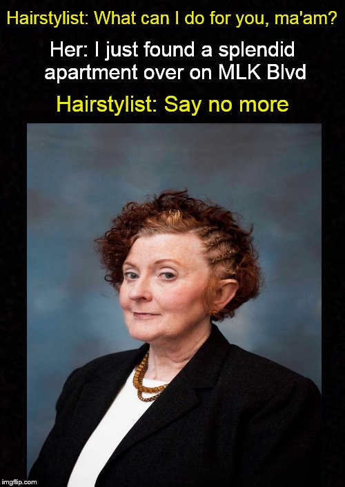 Meanwhile, in the gentrified beauty salon.... | Hairstylist: What can I do for you, ma'am? Her: I just found a splendid apartment over on MLK Blvd; Hairstylist: Say no more | image tagged in funny memes,gentrification,hair,hairstyle,funny haircut,braids | made w/ Imgflip meme maker