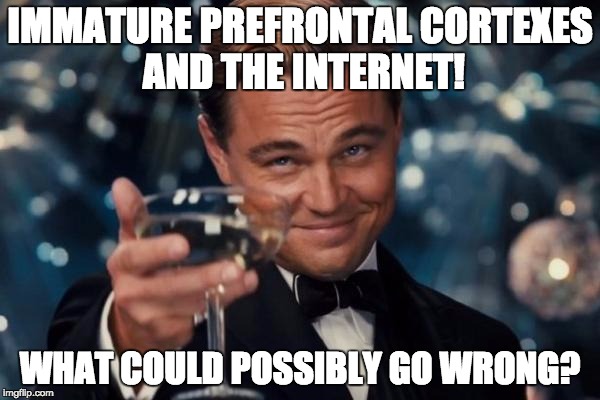 Leonardo Dicaprio Cheers Meme | IMMATURE PREFRONTAL CORTEXES AND THE INTERNET! WHAT COULD POSSIBLY GO WRONG? | image tagged in memes,leonardo dicaprio cheers | made w/ Imgflip meme maker