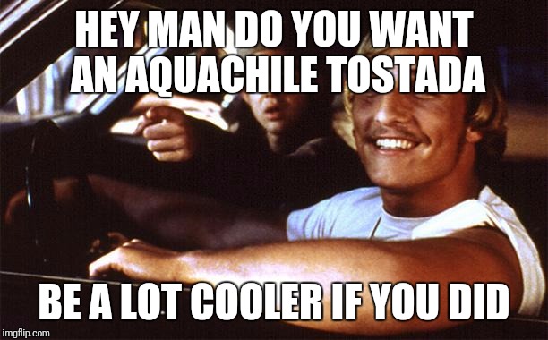 Matthew Mcconaughey | HEY MAN DO YOU WANT AN AQUACHILE TOSTADA; BE A LOT COOLER IF YOU DID | image tagged in matthew mcconaughey | made w/ Imgflip meme maker