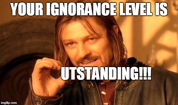 One Does Not Simply Meme | YOUR IGNORANCE LEVEL IS UTSTANDING!!! | image tagged in memes,one does not simply | made w/ Imgflip meme maker