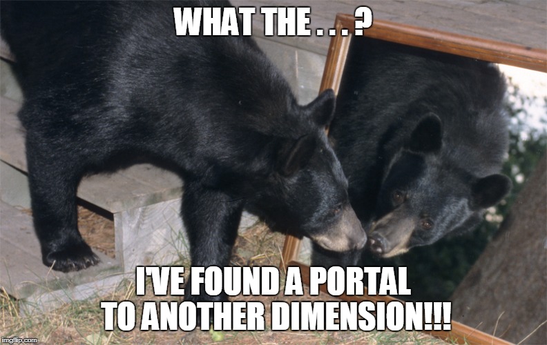 WHAT THE . . . ? I'VE FOUND A PORTAL TO ANOTHER DIMENSION!!! | made w/ Imgflip meme maker