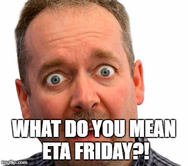 What do you mean? | WHAT DO YOU MEAN ETA FRIDAY?! | image tagged in what do you mean | made w/ Imgflip meme maker