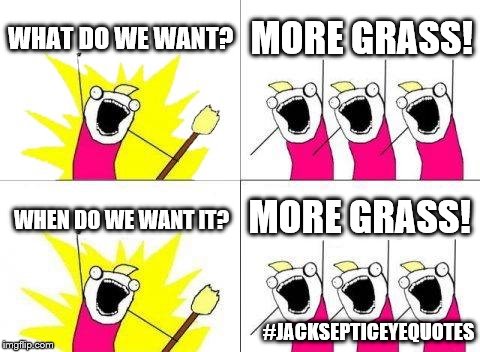 What Do We Want | WHAT DO WE WANT? MORE GRASS! MORE GRASS! WHEN DO WE WANT IT? #JACKSEPTICEYEQUOTES | image tagged in memes,what do we want | made w/ Imgflip meme maker