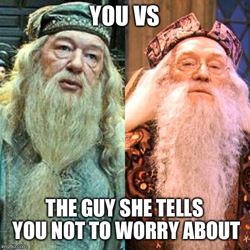 A Tale of Two Dumbledores | YOU VS; THE GUY SHE TELLS YOU NOT TO WORRY ABOUT | image tagged in you vs the guy she tells you not to worry about | made w/ Imgflip meme maker