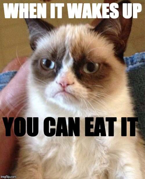 Grumpy Cat Meme | WHEN IT WAKES UP YOU CAN EAT IT | image tagged in memes,grumpy cat | made w/ Imgflip meme maker