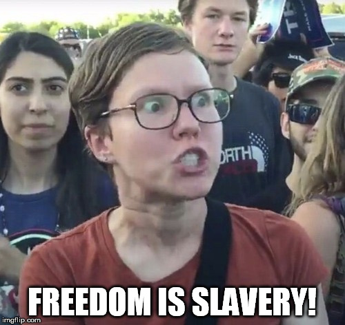 FREEDOM IS SLAVERY! | made w/ Imgflip meme maker