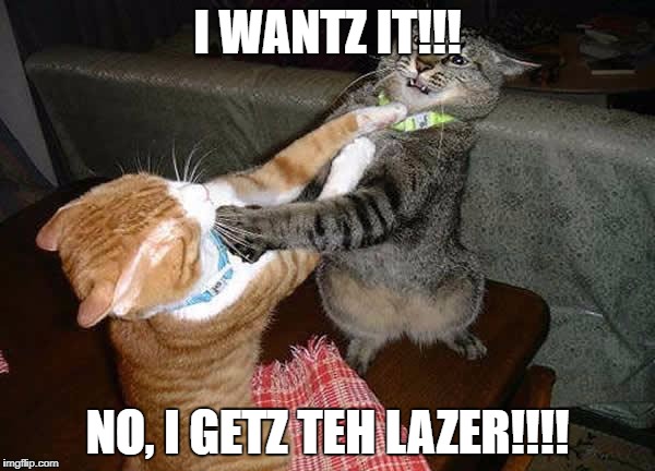 Two cats fighting for real | I WANTZ IT!!! NO, I GETZ TEH LAZER!!!! | image tagged in two cats fighting for real | made w/ Imgflip meme maker