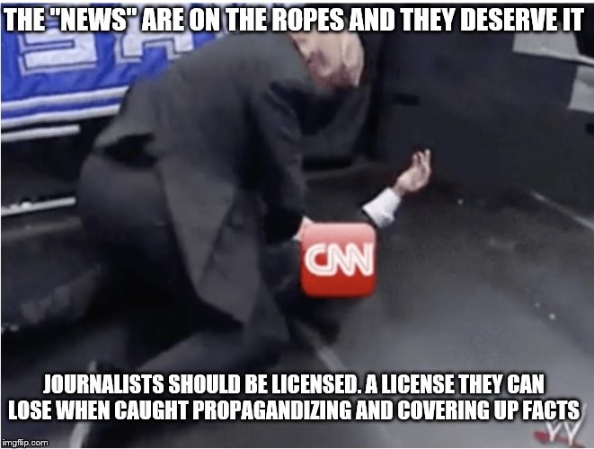 Dominating Don | THE "NEWS" ARE ON THE ROPES AND THEY DESERVE IT; JOURNALISTS SHOULD BE LICENSED. A LICENSE THEY CAN LOSE WHEN CAUGHT PROPAGANDIZING AND COVERING UP FACTS | image tagged in fake news | made w/ Imgflip meme maker