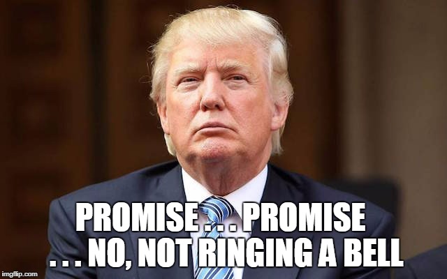 PROMISE . . . PROMISE  . . . NO, NOT RINGING A BELL | made w/ Imgflip meme maker