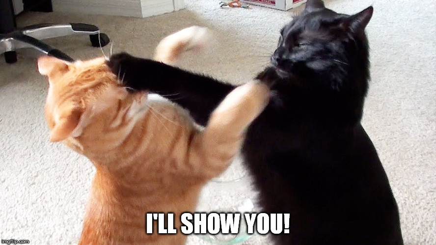 I'LL SHOW YOU! | made w/ Imgflip meme maker