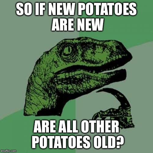 Philosoraptor | SO IF NEW POTATOES ARE NEW; ARE ALL OTHER POTATOES OLD? | image tagged in memes,philosoraptor | made w/ Imgflip meme maker