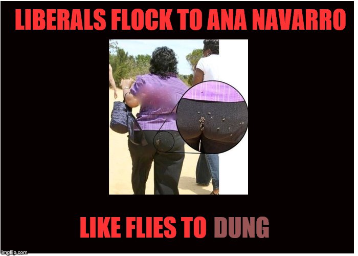 Ana Navarro Maggots | LIBERALS FLOCK TO ANA NAVARRO; LIKE FLIES TO; DUNG | image tagged in shit,liberals | made w/ Imgflip meme maker