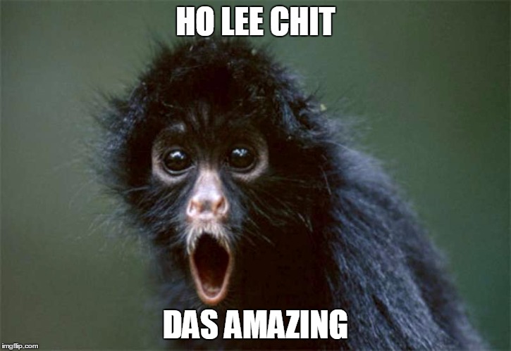 Holy Crap Monkey | HO LEE CHIT; DAS AMAZING | image tagged in holy crap monkey | made w/ Imgflip meme maker