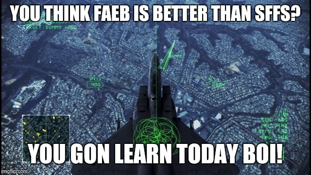 YOU THINK FAEB IS BETTER THAN SFFS? YOU GON LEARN TODAY BOI! | image tagged in sffs for those who dislike faeb | made w/ Imgflip meme maker