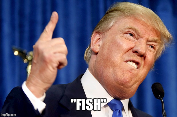 Donald Trump | "FISH" | image tagged in donald trump | made w/ Imgflip meme maker